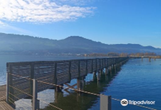 Wooden Bridge from Rapperswil to Hurden景点图片