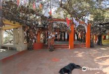 Golu Devta Temple (Bell Temple), Ghorakhal景点图片