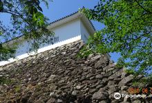 Kameyamajo Ato景点图片