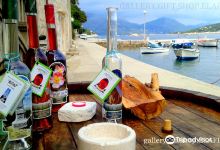 gallery. gift.shop ELAFITI景点图片