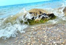 Black's Point Beach景点图片