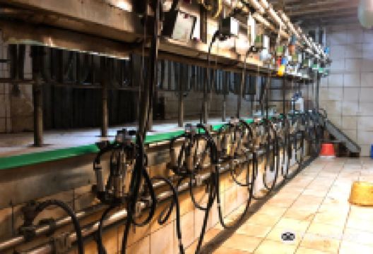 Ferme Grandemange景点图片