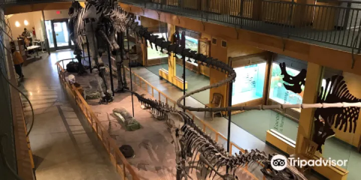 University of Wyoming Geological Museum