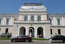 Muzeul Vasile Parvan景点图片