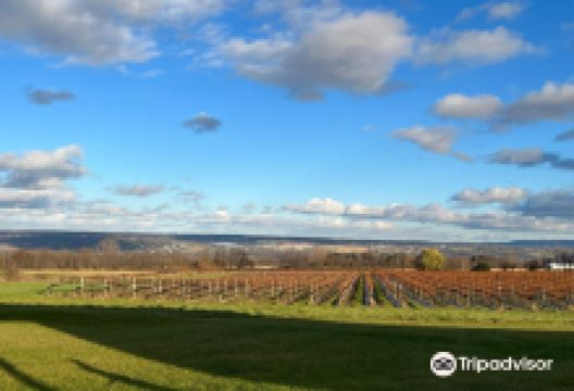 Bet the Farm Winery & Gourmet Market景点图片