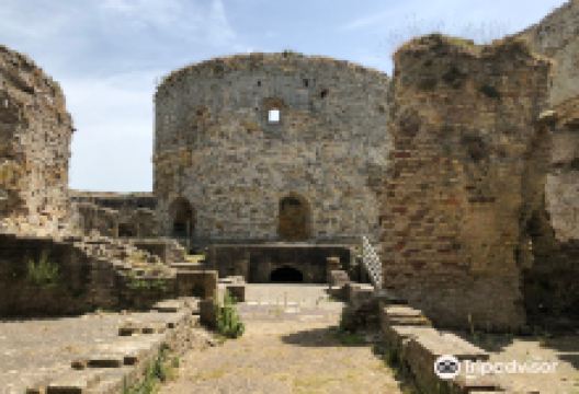 Camber Castle景点图片