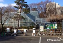 東京都薬用植物園景点图片
