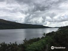 科尼斯顿湖-南莱克兰