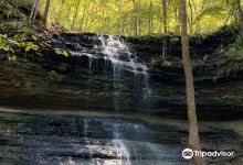 Stillhouse Hollow Falls景点图片