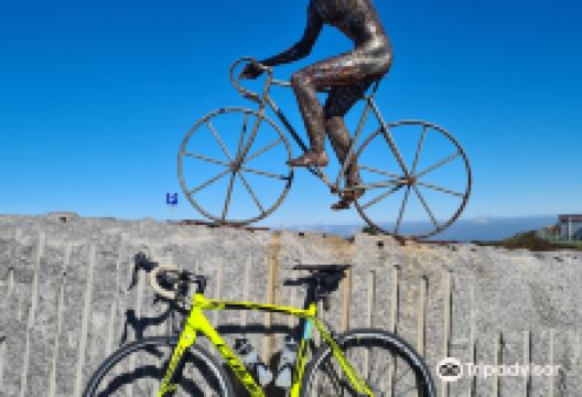 rent a bike lagos购物图片