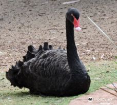 Bunbury Wildlife Park-South Bunbury