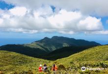Mount Redondo Natural Bonsai Forest景点图片