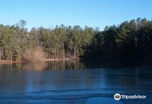 Carolina Bay Nature Preserve景点图片