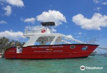 The Dive Academy Las Terrenas购物图片