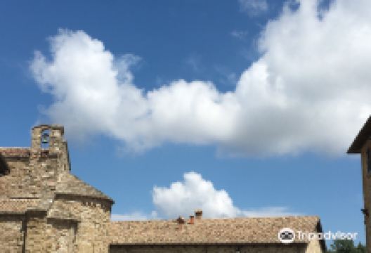 Palazzo Mediceo景点图片