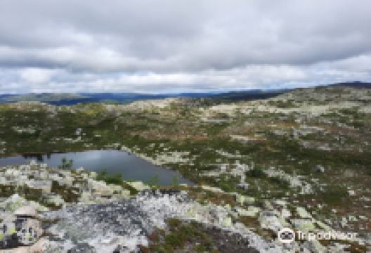 Hartevassnutane景点图片