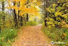 Lime Hollow Nature Center景点图片