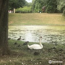 莱茵休闲公园-波恩