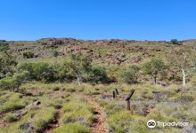 Yaburara Heritage Trail景点图片