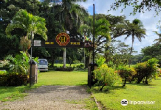 Hampden Estate景点图片