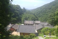 长谷寺景点图片
