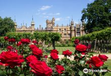 Knebworth House景点图片