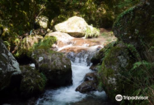 清水瀑園景点图片