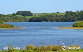 Carsington Water