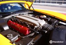 Sochi Auto Sport Museum景点图片