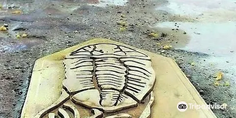 Ruta de las Huellas Fosiles