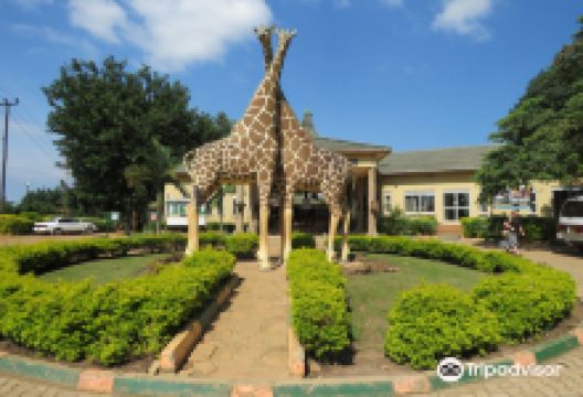Uganda Wildlife Conservation Education Centre景点图片