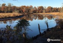 Rancocas State Park景点图片