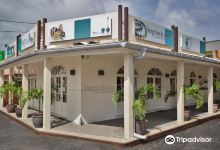 Bergman & Sons购物图片