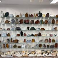 杜尤皮沃格图片