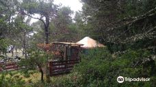 South Beach State Park-纽波特