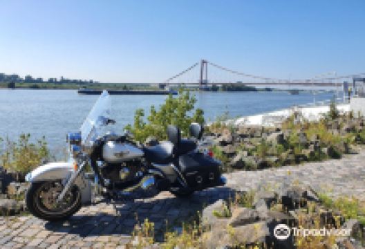 Rheinbruecke景点图片