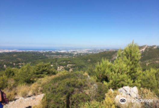 Domaine de la Font de Mai景点图片
