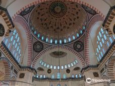 Suleymaniye Camii-阿拉尼亚