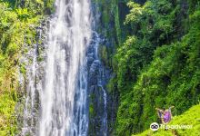Materuni waterfalls coffee tour and lunch景点图片