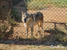 Predator World-Bojanala