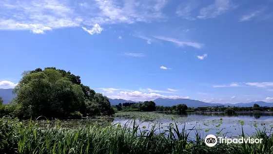 Hyokosuikin Park