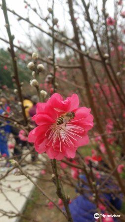 白水带公园