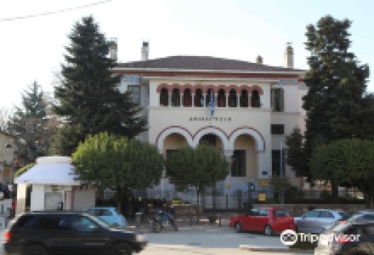 Ioannina City Hall景点图片