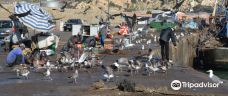 Agadir Fishing Port-阿加迪尔