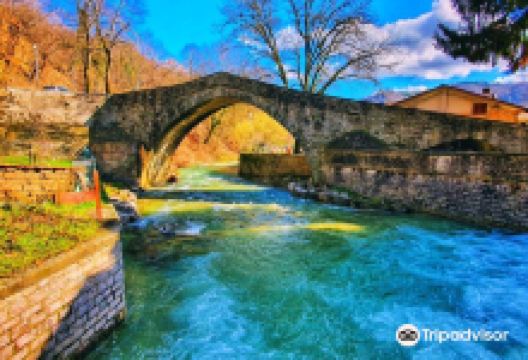 Ponte Medievale景点图片