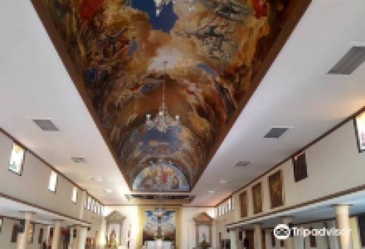 Iglesia San Agustin景点图片