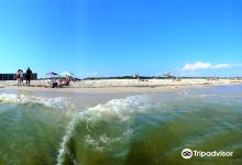 Dauphin Island Public Beach景点图片