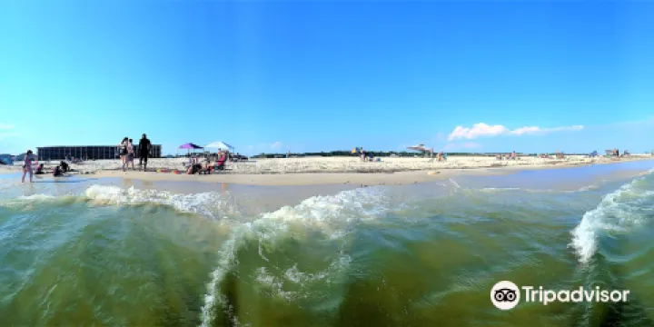 Dauphin Island Public Beach