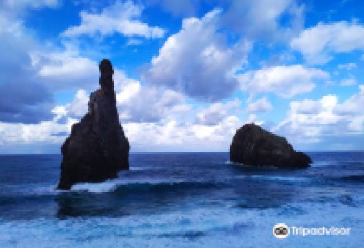 Ilheus da Ribeira da Janela景点图片