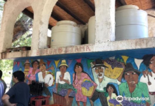 Bodega Artesanal Utama景点图片